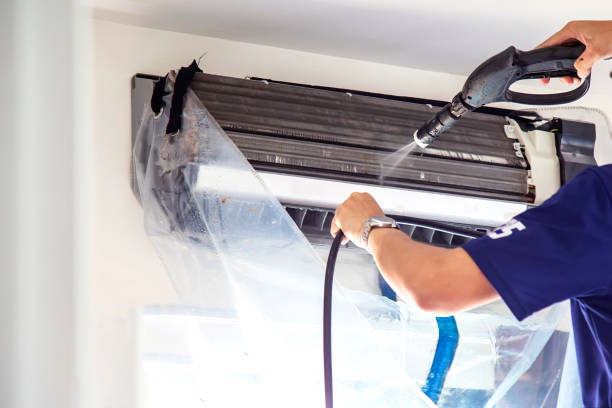 Best Affordable Duct Cleaning Services  in Shenandoah, VA